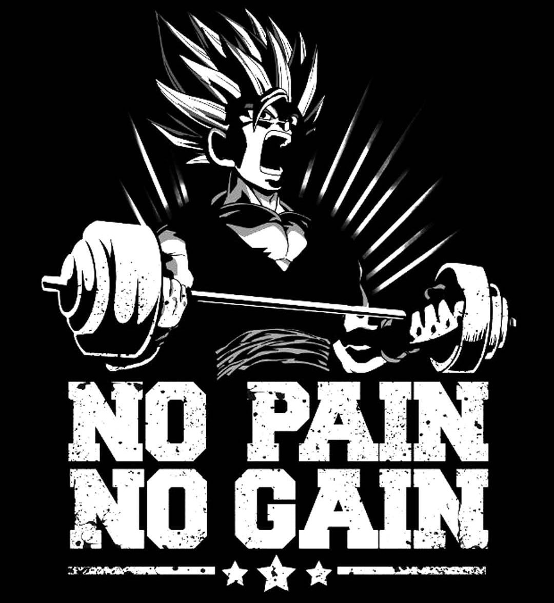 No Pain No Gain